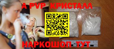 бошки Кингисепп