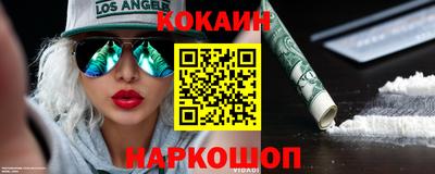 бошки Кингисепп