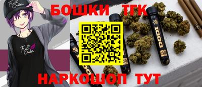 бошки Кингисепп