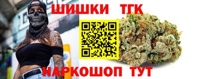 бошки Кингисепп
