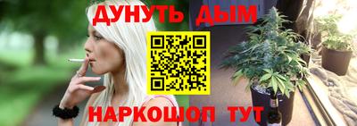 бошки Кингисепп